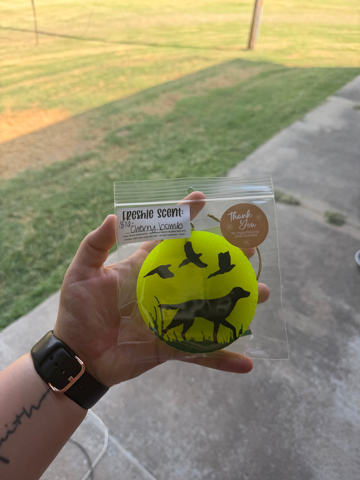 Dog in grass w flying ducks- scent: cherry bomb