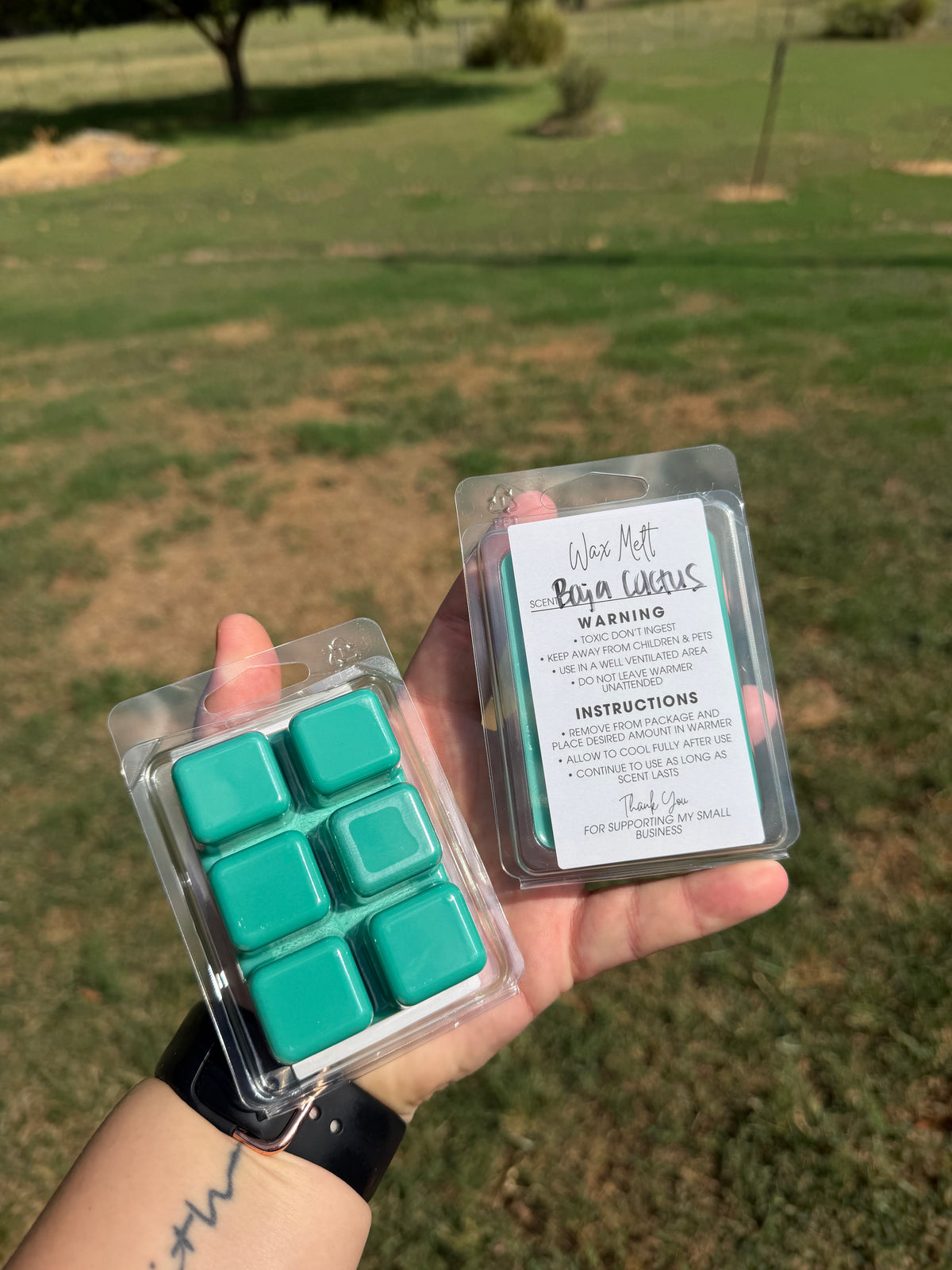 Baja Cactus Blossom Wax Melt