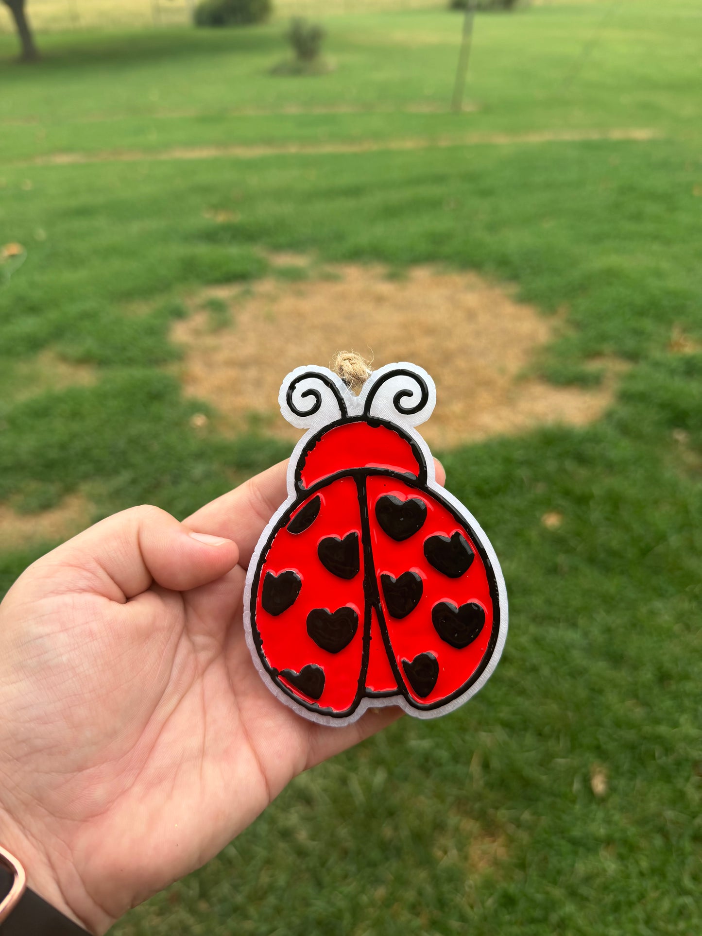 Lady Bug