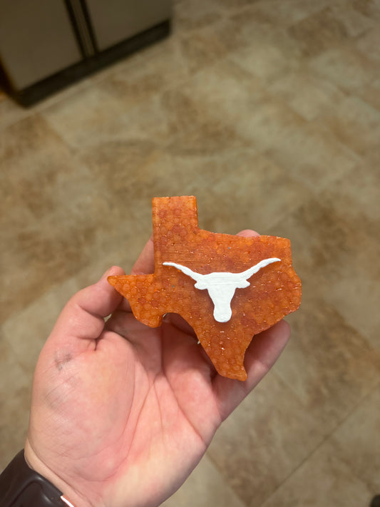 Texas Longhorns (2)