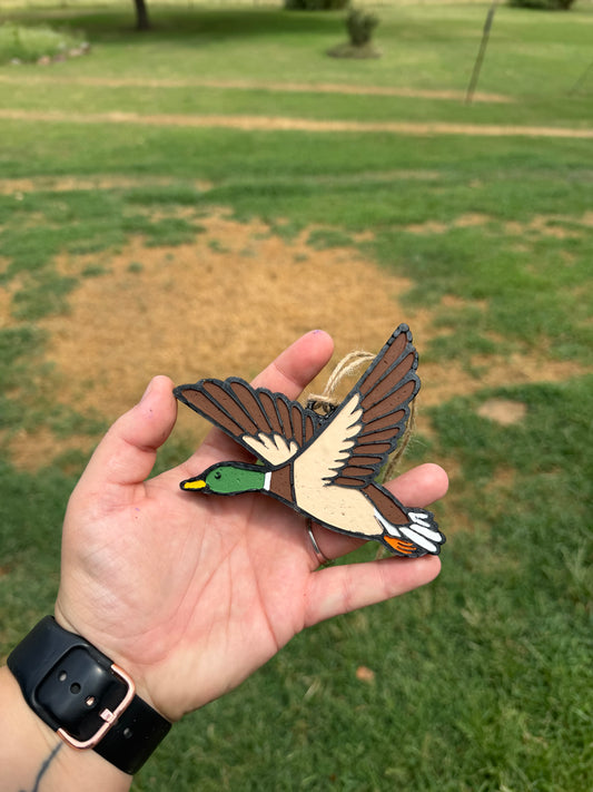 flying duck